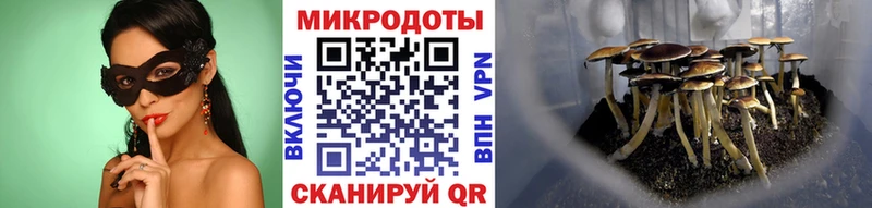 Галлюциногенные грибы Psilocybine cubensis  купить наркотик  Наро-Фоминск 